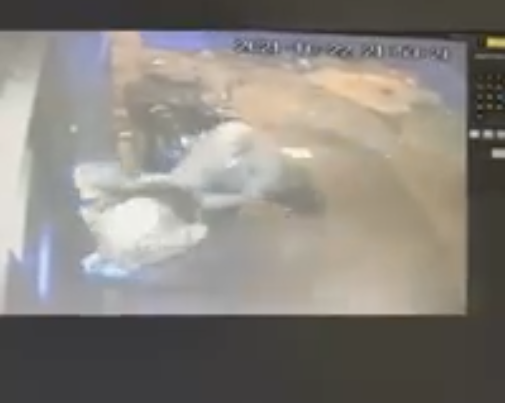 Ragazza rapinata e trascinata per metri: il Video della paura