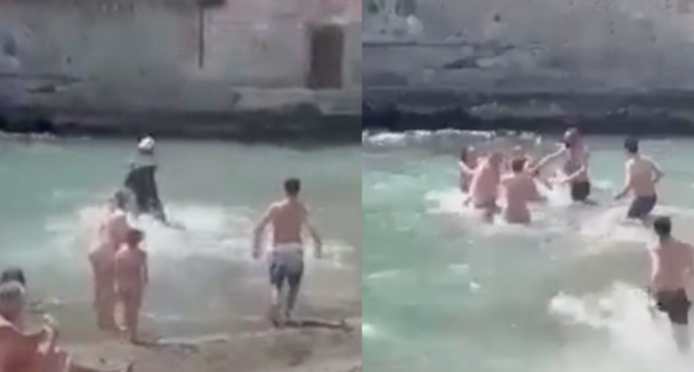Rissa in spiaggia a Posillipo